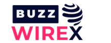 Buzz WireX